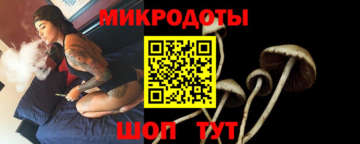 Качканар  Галлюциногенные грибы Magic Shrooms  Вход с VPN 